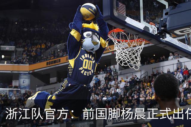 浙江队官方：前国脚杨晨正式出任俱乐部总经理